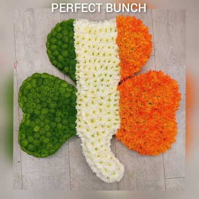 Irish shamrock