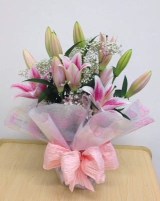 Lilly Pack