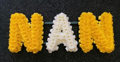 Nan Tribute