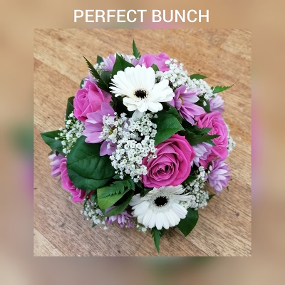 Posy pink and white