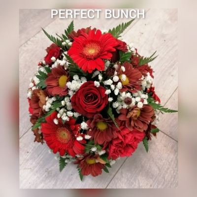 Posy red and white