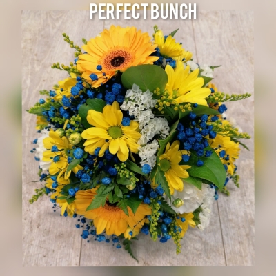 Posy yellow blue and white
