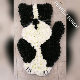 Cat tribute