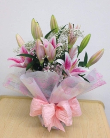 Lilly Pack