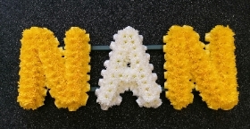 Nan Tribute