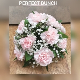 Pink Posy