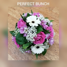Posy pink and white