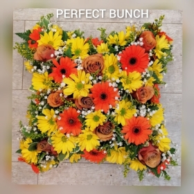 CUSHION orange and yellow