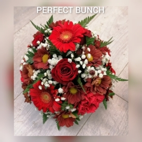 Posy red and white