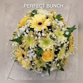 Posy yellow and white
