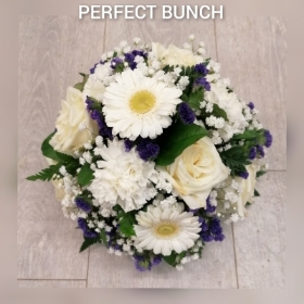 Posy purple and white