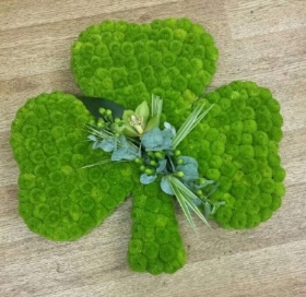 Shamrock