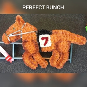 Racing horse