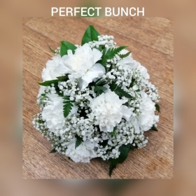 White Posy
